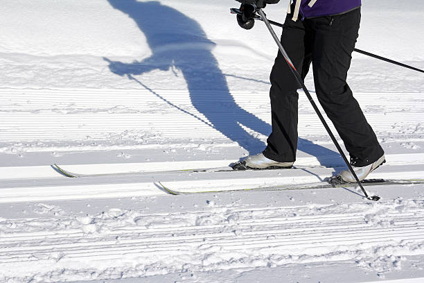 cross-country skiing go cross-country skiing are popular winter sports beines stock pictures, royalty-free photos & images