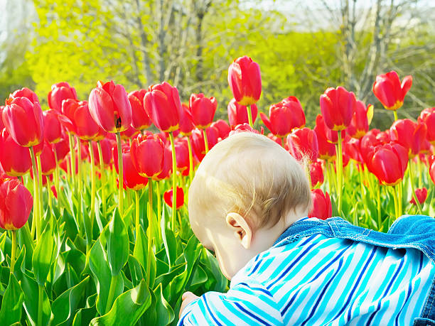 istock Baby in the tulip field 499644221