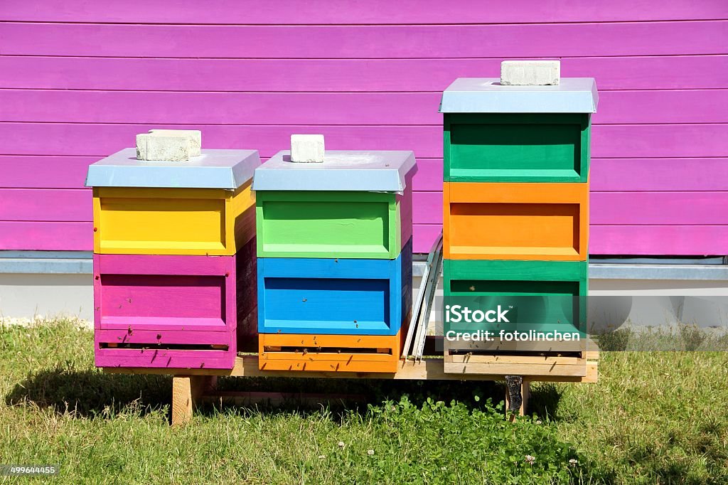 beehives de color - Foto de stock de Abeja libre de derechos