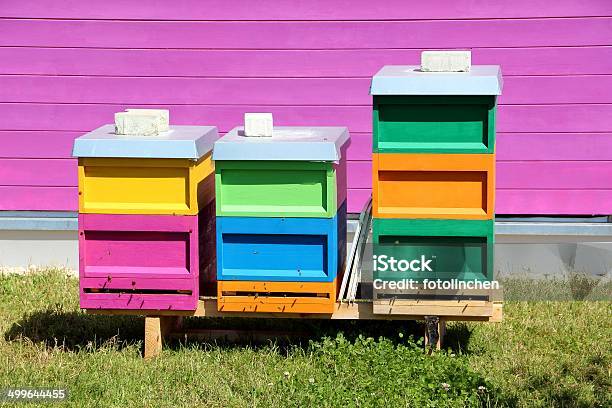 Beehives De Color Foto de stock y más banco de imágenes de Abeja - Abeja, Agricultura, Aire libre