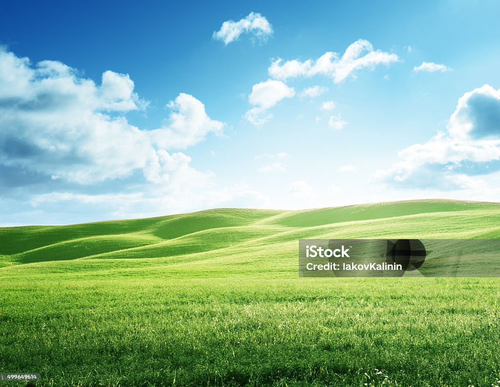 perfect field of spring grass Sky Stock Photo