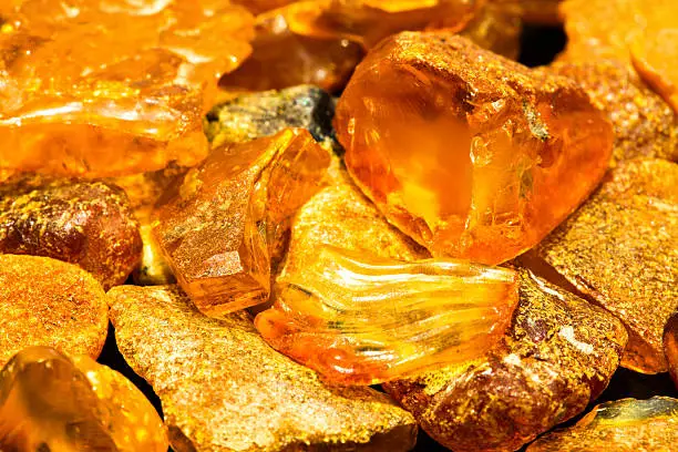 Baltic sea amber from Kaliningrad region, Russia. Baltic amber is a specific subset of amber that is found only in northern Europe: it accounts for some 80% of the known amber in the world. About 90% of the world's extractable amber is still located in the Kaliningrad Region of Russia on the Baltic Sea.