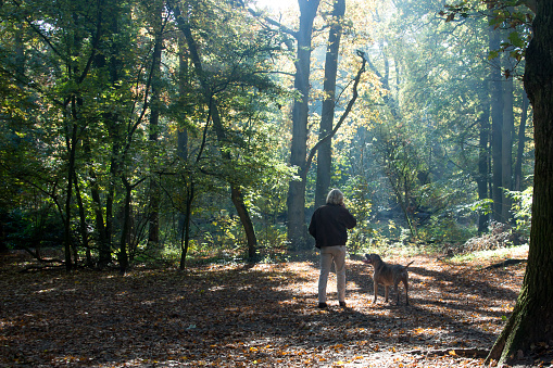 Men smoking a cigarette in the forest while he is walking his dog