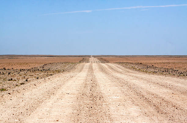 istock Unpaved road in the Namib desert 499652018