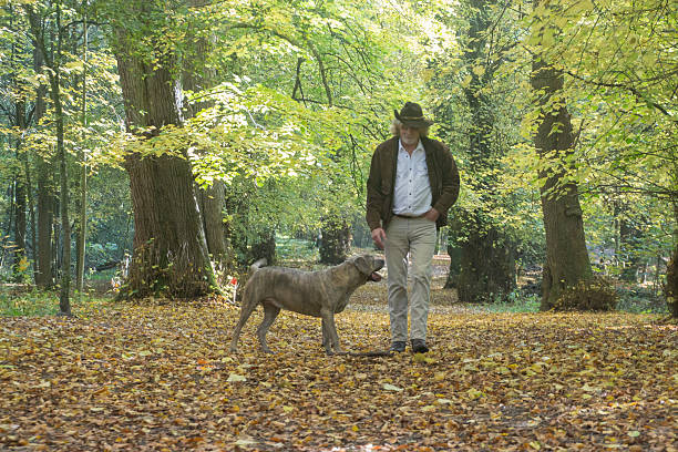 istock Mature men walking his dog in the forest 499653518