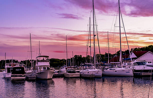 istock Pink and Purple Sunset on Boats in Harbor 499653584