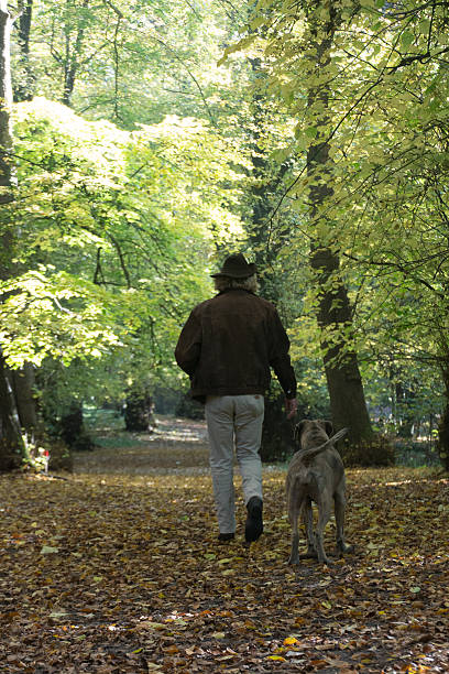 istock Mature men walking his dog in the forest 499653664