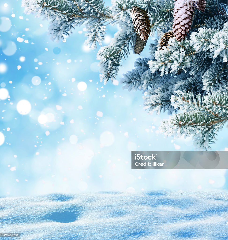 winter christmas background Winter Christmas background with fir tree branch and coneswinter christmas background 2015 Stock Photo