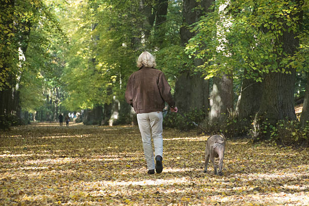 istock Mature men walking his dog in the forest 499654234