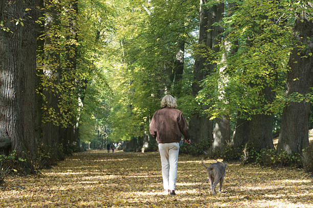 istock Mature men walking his dog in the forest 499654266