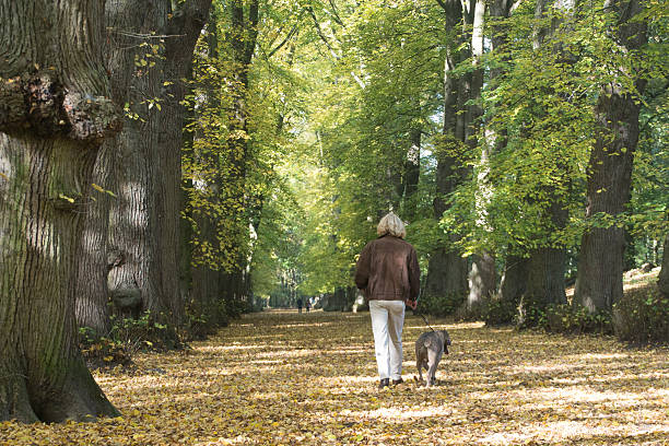 istock Mature men walking his dog in the forest 499654308