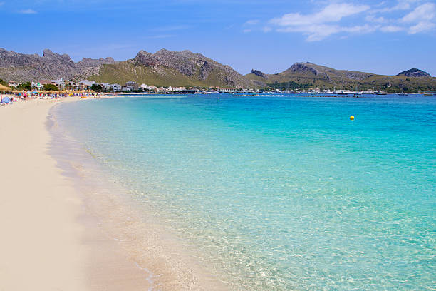 istock Pollensa sand beach in Mediterranean Mallorca island 499654680