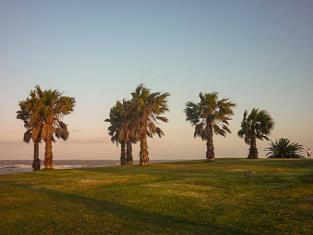 istock Park in front of River Plate River in Montevideo Uruguay 499654696