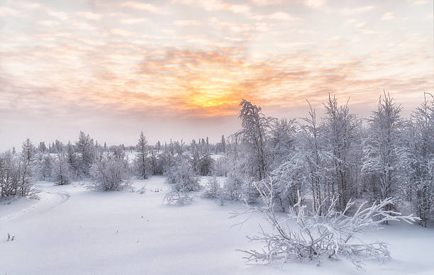 istock beautiful winter landscape 499655592
