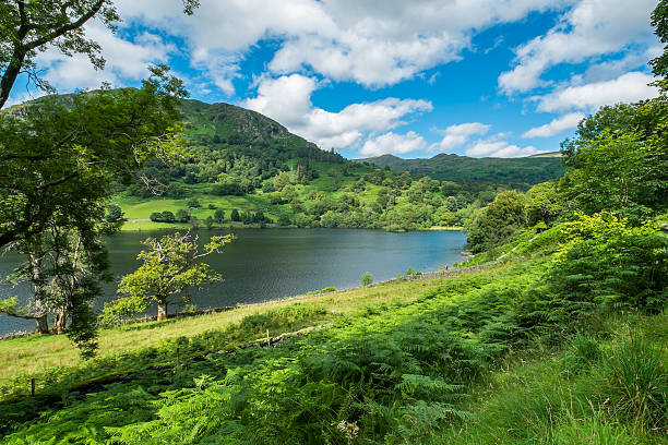 istock Rydal Water in the Lake District. 499658250