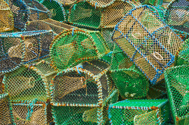 istock Fishing creels at Elgol port 499659148