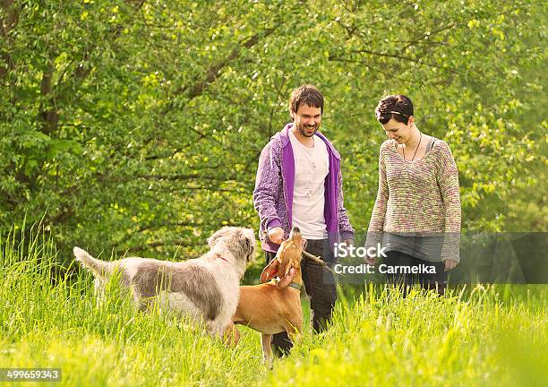 Young Beautiful Couple Walking And Playing Dogs Stock Photo - Download Image Now - Adult, Animal, Boys