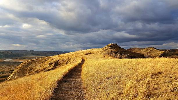 Trail In A National Park Hiking trail through Theodore Roosevelt National Park.  theodore roosevelt national park stock pictures, royalty-free photos & images