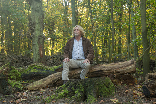Mature men sitting on stump in the forest