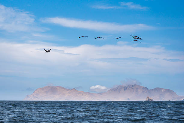 Peruvian Pacific coastline: Paracas and Isla Ballistas