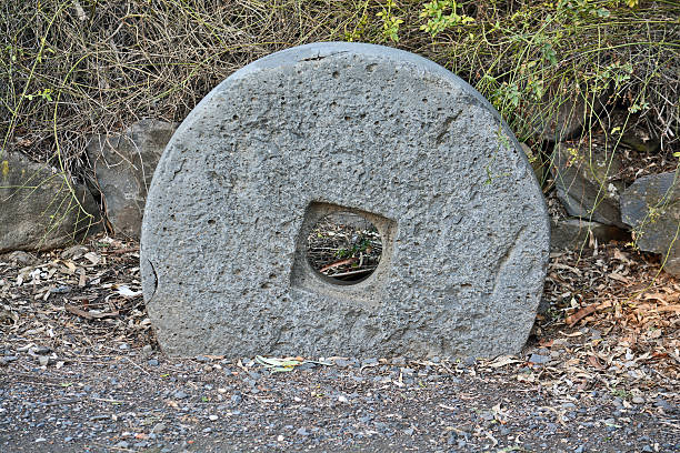 istock Wheel of the ancient oil press 499660320