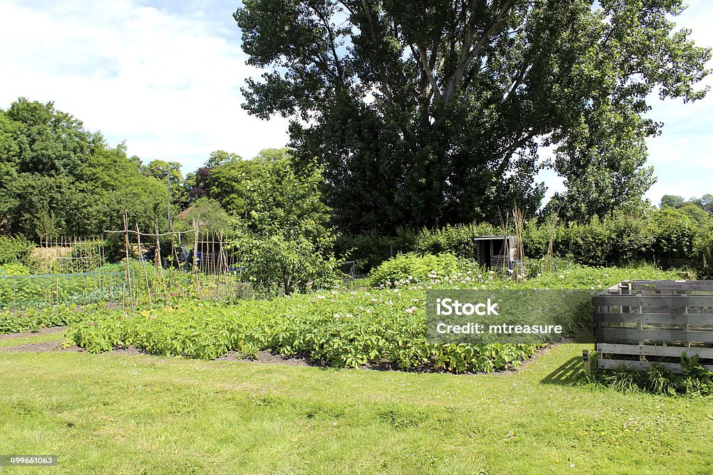 Imagem de atribuição Horta com Batata plantas, Adubo heap - Royalty-free Adubo - Fenómeno Natural Foto de stock