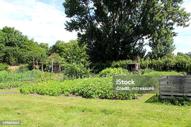 Imagem De Atribuição Horta Com Batata Plantas Adubo Heap - Fotografias de stock e mais imagens de Adubo - Fenómeno Natural