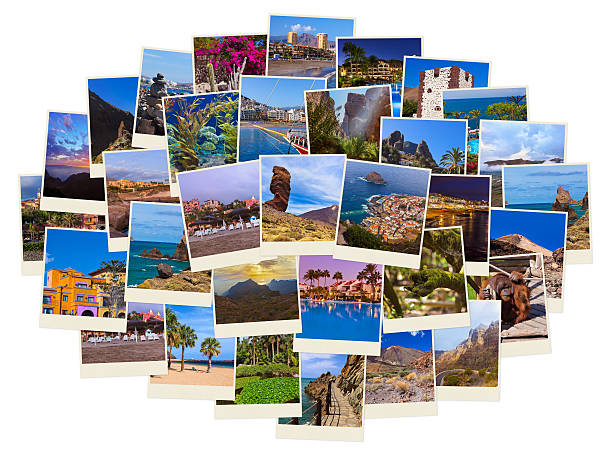 istock Tenerife Canary images (my photos) 499661180