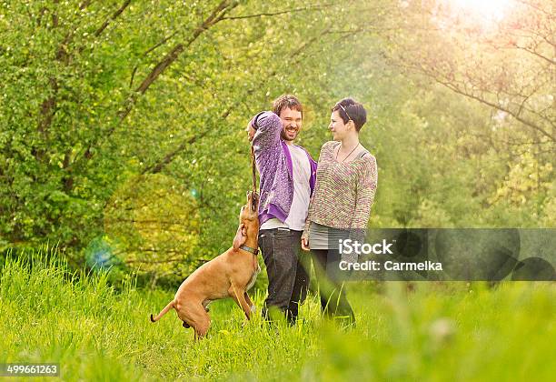 Young Beautiful Couple Walking And Playing Dogs Stock Photo - Download Image Now - Adult, Animal, Boys