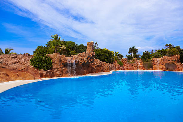 istock Waterfall in park at Tenerife - Canary Spain 499661914