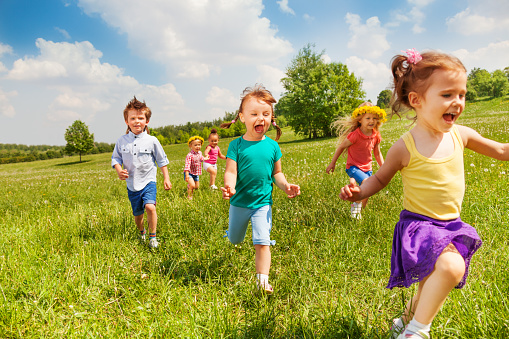 Excited running kids in green field in summer play together