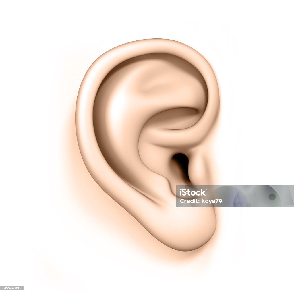 Menschliches Ohr, isoliert auf weiss - Lizenzfrei Computergrafiken Stock-Foto