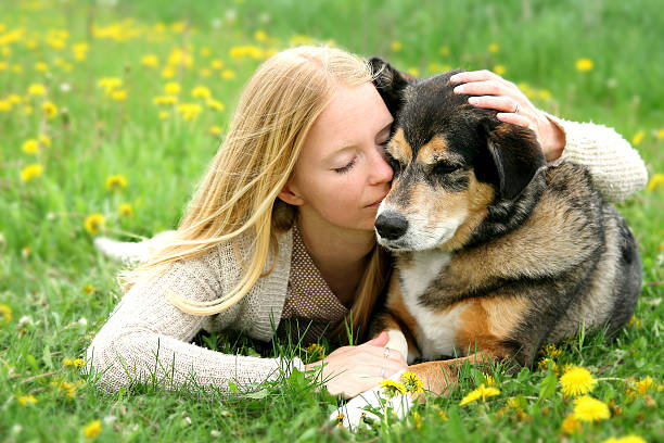 mulher cão pastor alemão cão abraçar tenderly - german countryside imagens e fotografias de stock