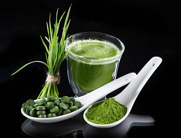 istock detox. young barley, chlorella superfood. 499663441