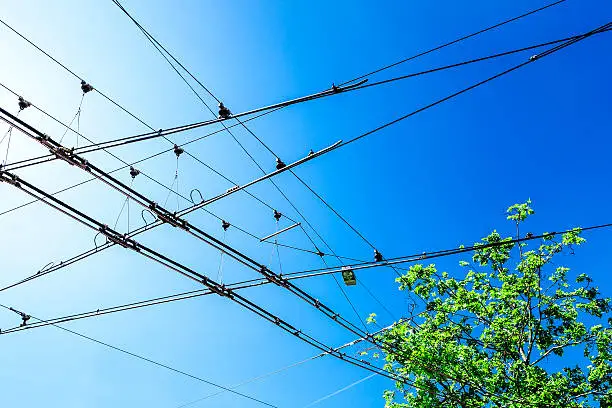 Tramline overhead cables in Zurich, Switzerland, against a blue sky. The green tree provides a contrast between nature and technological progress. AbobeRGB colorspace.