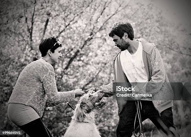 Young Couple Arguing In Dog Stock Photo - Download Image Now - Adult, Arguing, Continuity