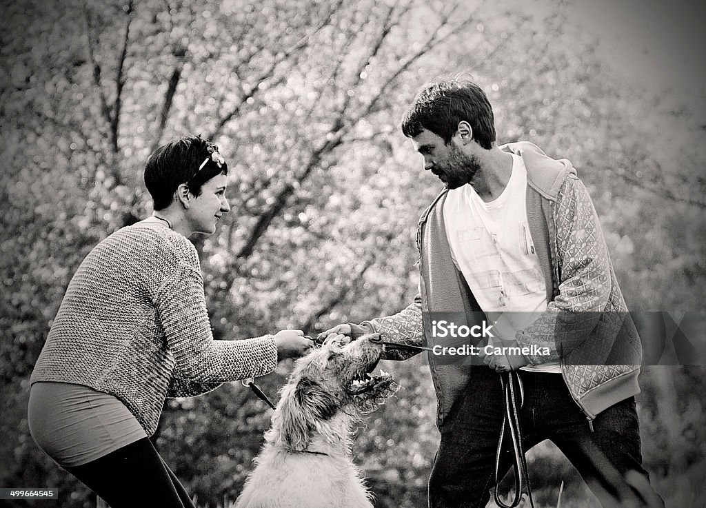 Jovem casal com cachorro discutir - Foto de stock de Acender royalty-free