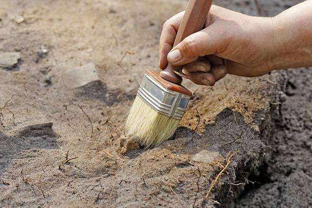 uma das fases da excavation - archaeology imagens e fotografias de stock