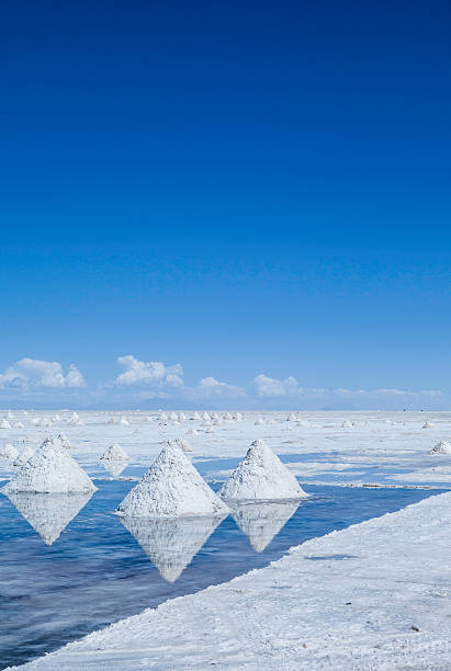 récolte de sal, salar de uyuni - sales growth fotografías e imágenes de stock