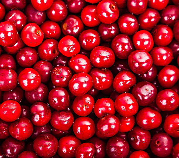 istock juicy red sweet cherries 499664971