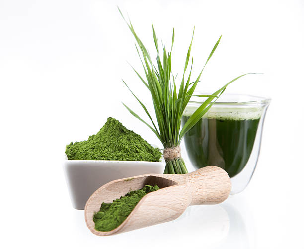 detox. junge gerste, chlorella superfood. - barley grass juice green stock-fotos und bilder