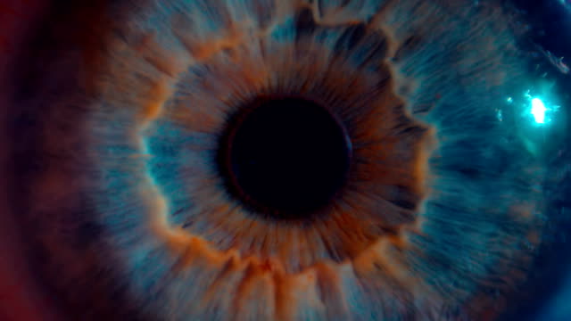 Eye iris and pupil macro . Many color correction options