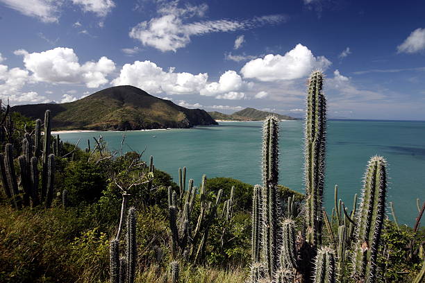istock VENEZUELA MARGARITA PEDRO GONZALEZ ISLAND 499674575