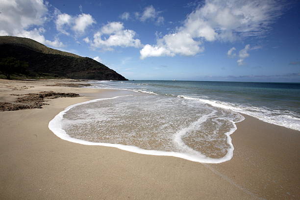 istock VENEZUELA MARGARITA PEDRO GONZALEZ ISLAND 499674583