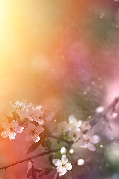 istock pollens in the air 499675101
