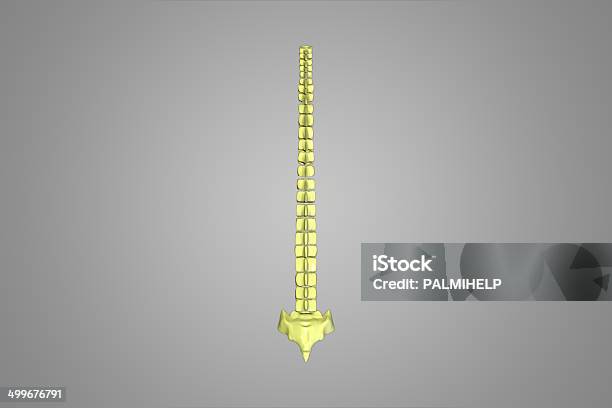 Do Dna - Fotografias de stock e mais imagens de Articulação - Parte do corpo - Articulação - Parte do corpo, Coluna vertebral - Parte do corpo, Coluna vertebral humana