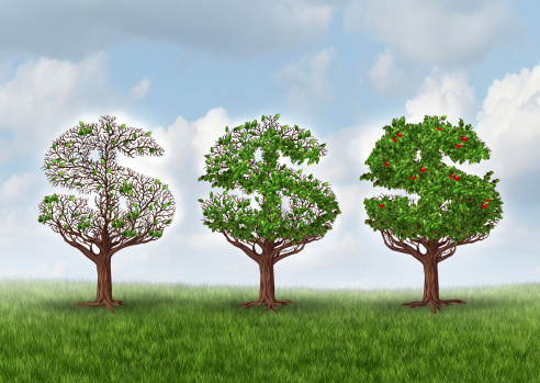 Economic recovery and growing wealth business metaphor as a group of trees shaped as a dollar sign gradually growing leaves and bearing fruit as a symbol of wealth and financial success in a growth industry.