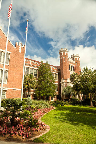 florida state university - florida state foto e immagini stock