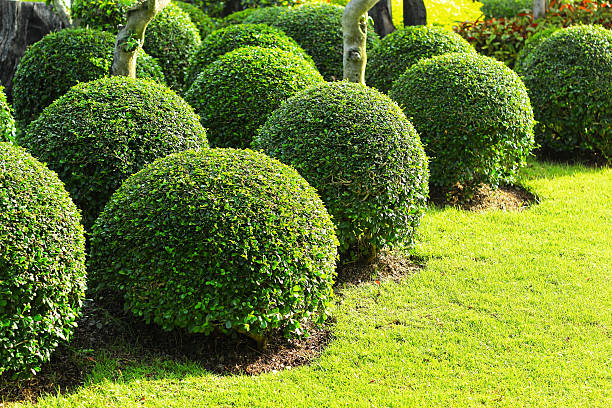 istock English garden 499679389