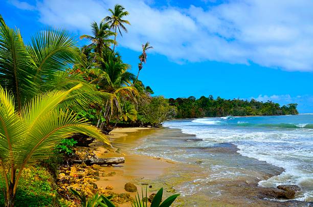 Wild beach Bocas del Toro in Panama